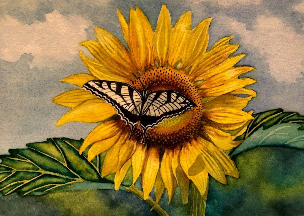 Butterfly on Bloom