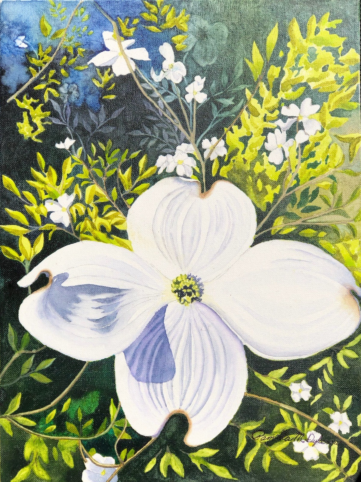 Dogwood Princess