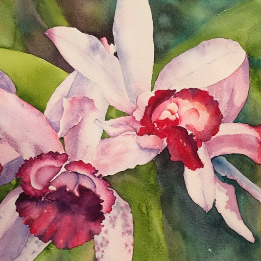 Orchids